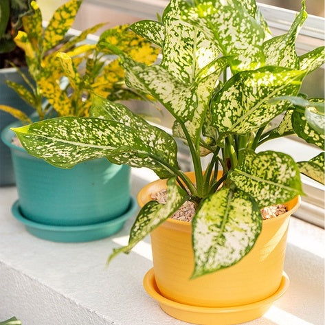Locaupin Plastic Planter Flower Pots Multicolor Balcony Garden Plant Planter Baskets Fence Bucket Pots With Tray