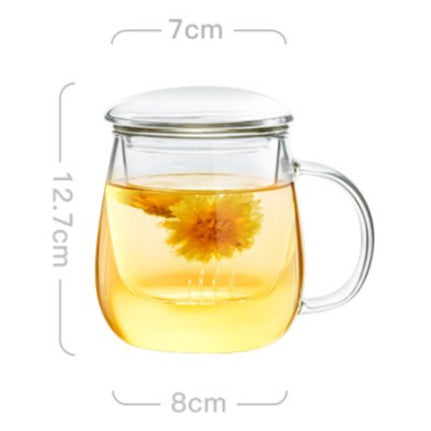 Locaupin 500mL 150℃ Heat-resistant Tea Cups Kits Borosilicate Glass Cups Simple Filtration Teacups Great Coffee Mugs