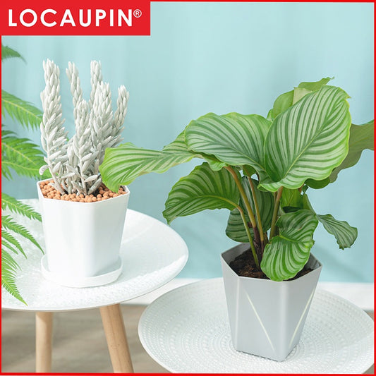 Locaupin Plastic Planter Flower Pots Multicolor Balcony Garden Plant Planter Baskets Fence Bucket Pots With Tray