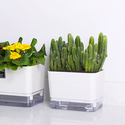 Locaupin Self Watering Planter Flower Pots Multicolor Balcony Garden Plant Planter Baskets Fence Bucket Pots