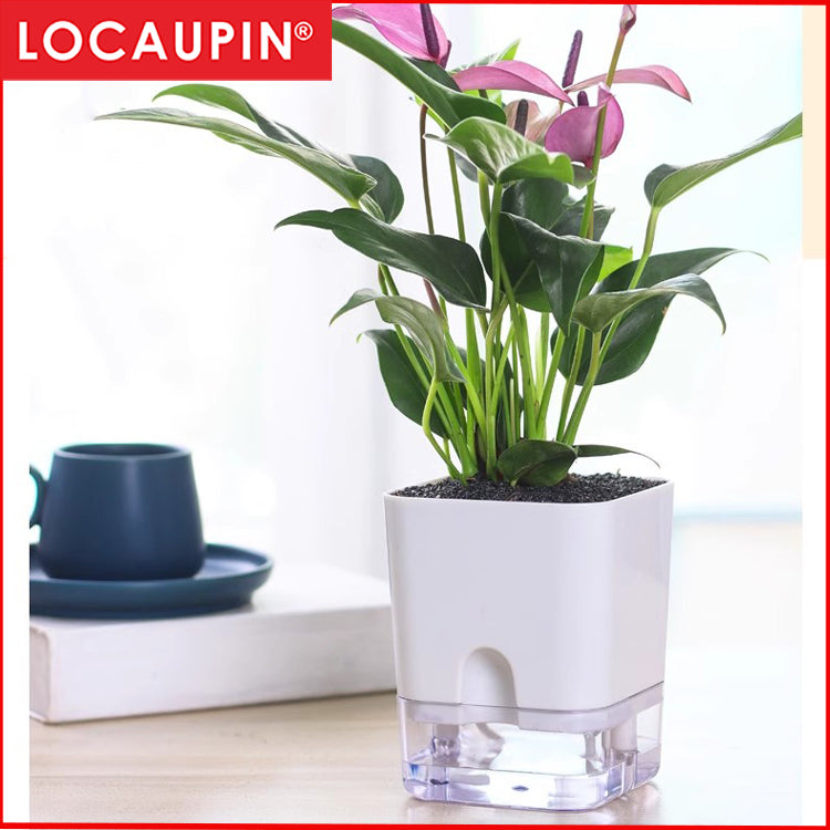 Locaupin Self Watering Planter Flower Pots Multicolor Balcony Garden Plant Planter Baskets Fence Bucket Pots