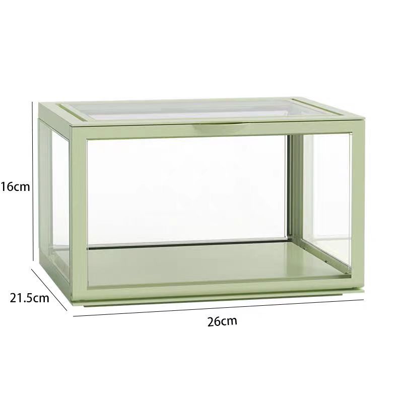 Locaupin Clear Plastic Storage Display Case, Model Display, Shoes Storage Box Toys Organization and Display