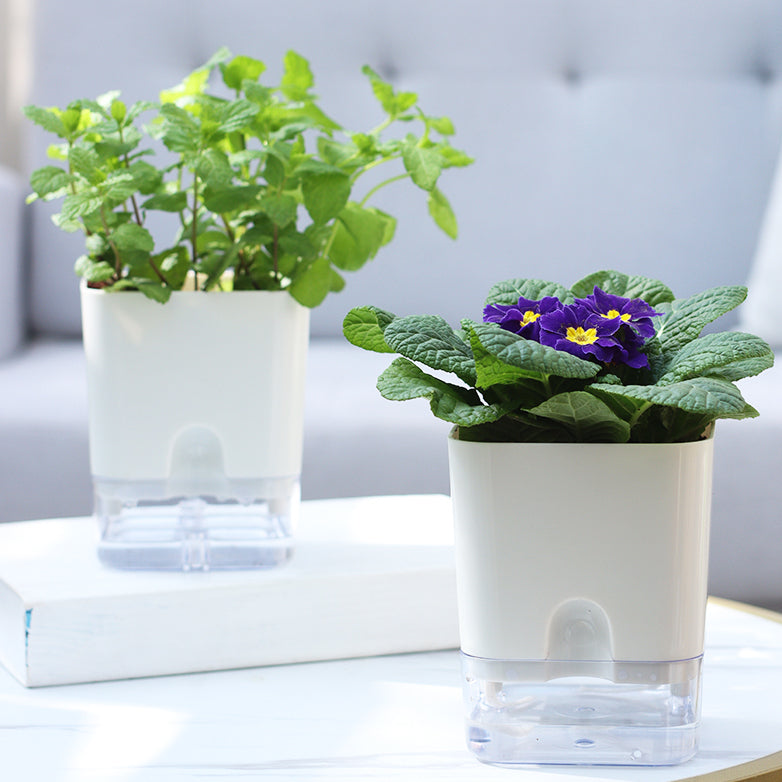 Locaupin Self Watering Planter Flower Pots Multicolor Balcony Garden Plant Planter Baskets Fence Bucket Pots