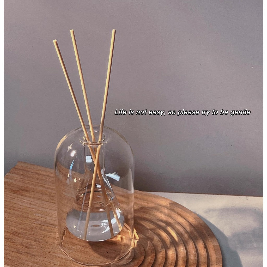 Locaupin Empty Glass Fragrance Reed Diffuser Bottles,for Essential Oil, with 3pcs Sticks,Minimalist Decor