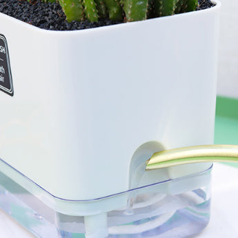 Locaupin Self Watering Planter Flower Pots Multicolor Balcony Garden Plant Planter Baskets Fence Bucket Pots