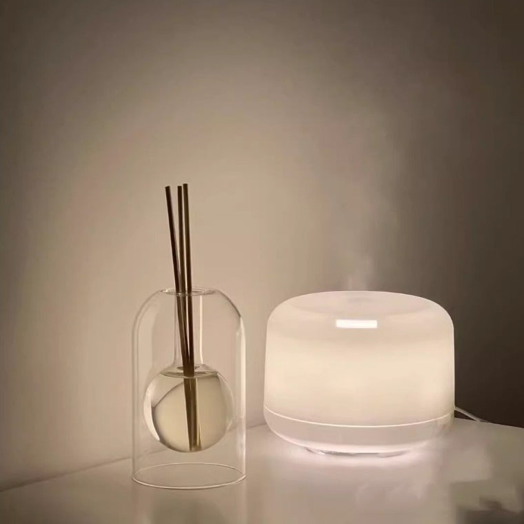 Locaupin Empty Glass Fragrance Reed Diffuser Bottles,for Essential Oil, with 3pcs Sticks,Minimalist Decor