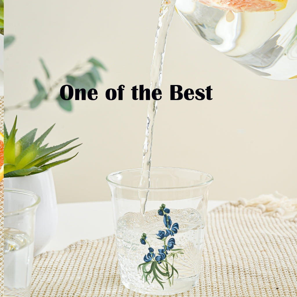 Locaupin Heat Resistant Healthy Glass Cups, Water Glass,Coffee Cups,Flower Tea Glass, Microwave Safe Glass Tea Cups