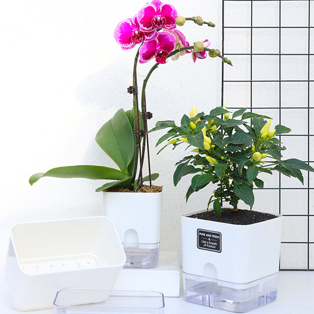 Locaupin Self Watering Planter Flower Pots Multicolor Balcony Garden Plant Planter Baskets Fence Bucket Pots