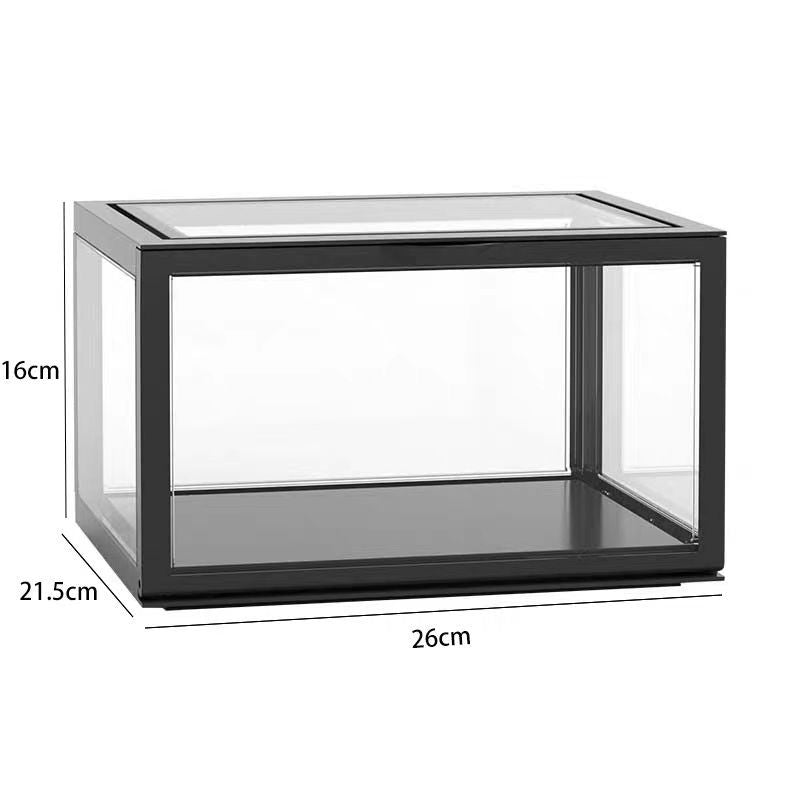 Locaupin Clear Plastic Storage Display Case, Model Display, Shoes Storage Box Toys Organization and Display