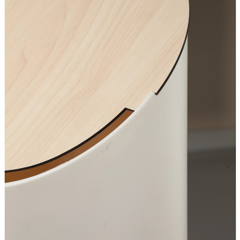 Locaupin Home Trash Can, Countertop Trash Can with Lid for Desk, Plastic For Office and Coffee Bar