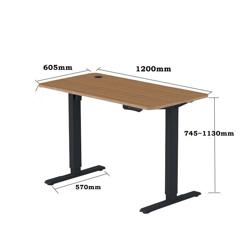Locaupin Electric Height Adjustable Standing Desk| 4 Height Presets |Ergonomic Sit-Stand Workstationation | Sturdy Frame