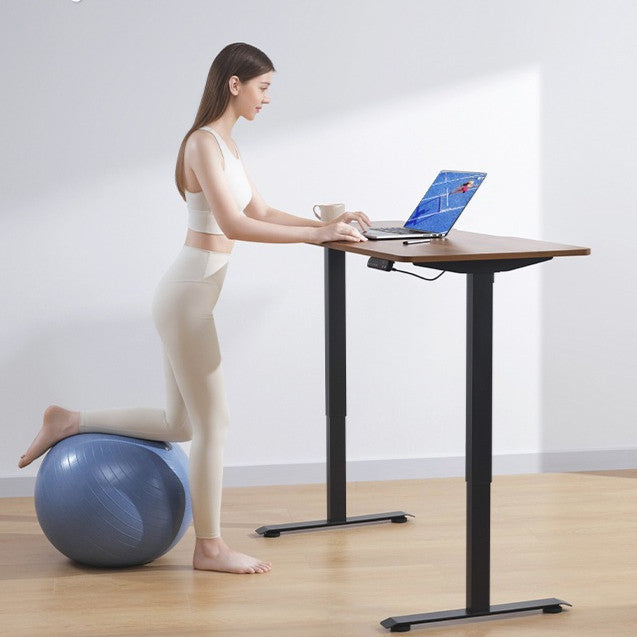 Locaupin Electric Height Adjustable Standing Desk| 4 Height Presets |Ergonomic Sit-Stand Workstationation | Sturdy Frame
