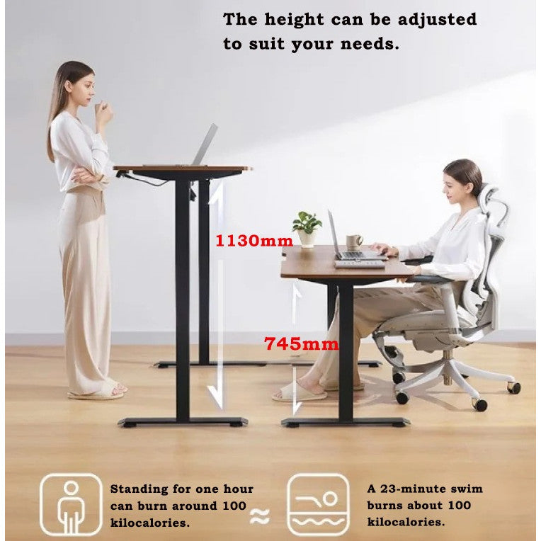 Locaupin Electric Height Adjustable Standing Desk| 4 Height Presets |Ergonomic Sit-Stand Workstationation | Sturdy Frame