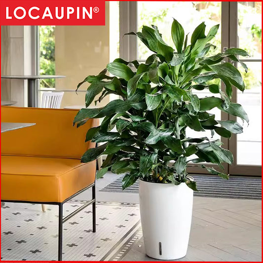 Locaupin Self Watering Planter Flower Pots Multicolor Balcony Garden Plant Planter Baskets Fence Bucket Pots