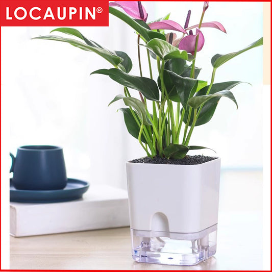 Locaupin Self Watering Planter Flower Pots Multicolor Balcony Garden Plant Planter Baskets Fence Bucket Pots