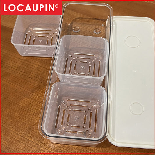 Locaupin Garlic Refrigerator Storage Jar Transparent Ginger Storage Holder Sealed Vegetable Food Box Food Dispensers