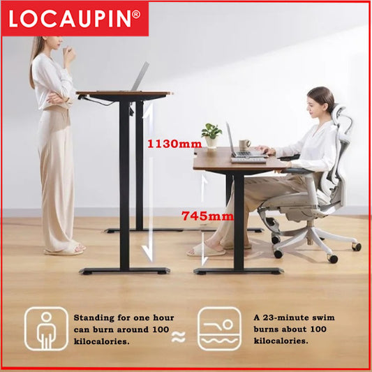 Locaupin Electric Height Adjustable Standing Desk| 4 Height Presets |Ergonomic Sit-Stand Workstationation | Sturdy Frame