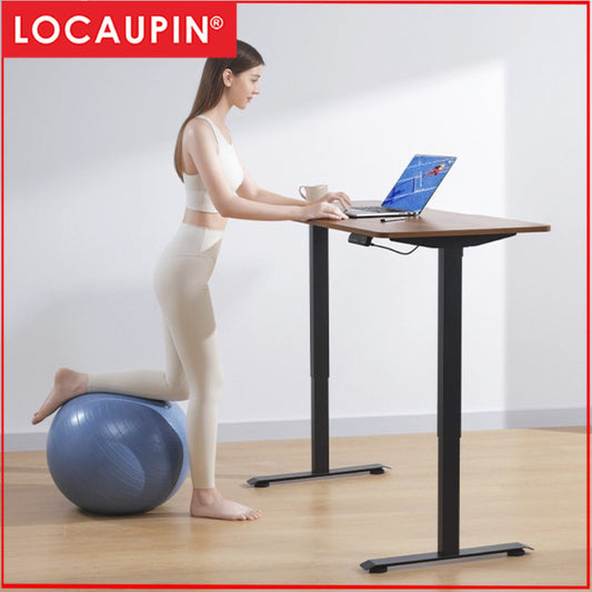 Locaupin Electric Height Adjustable Standing Desk| 4 Height Presets |Ergonomic Sit-Stand Workstationation | Sturdy Frame